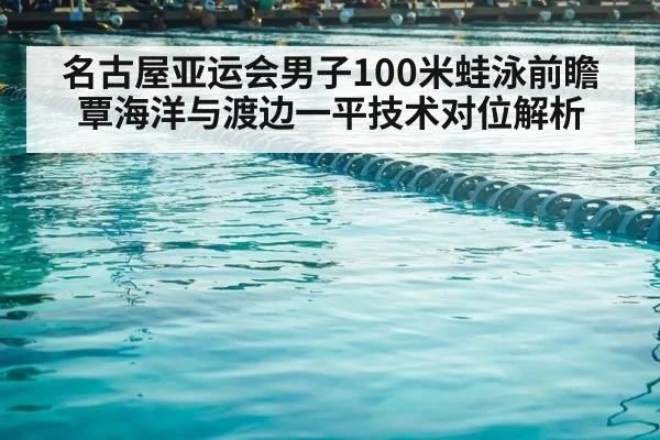 competitive swimming pool lanes